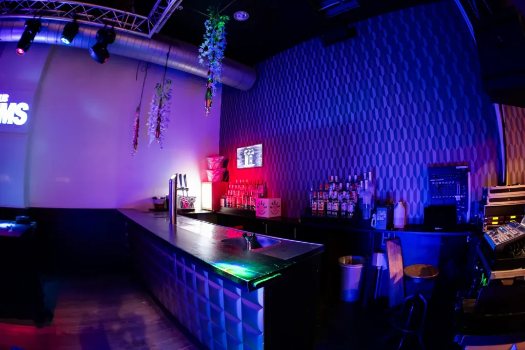 Lichtinstallatie en sfeer Club Dims